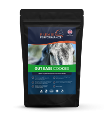 Gut Ease Cookies