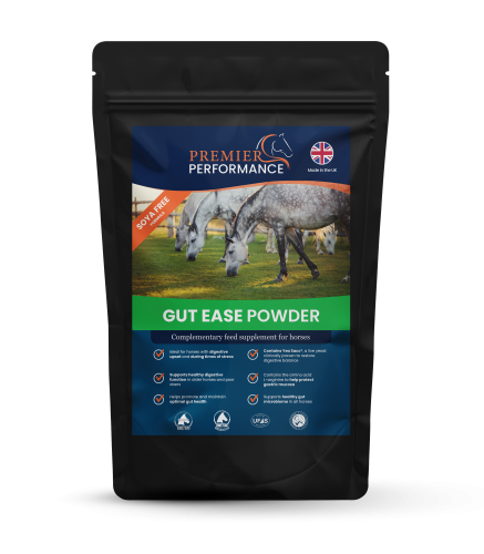 Gut Ease Powder: Palatability Sample