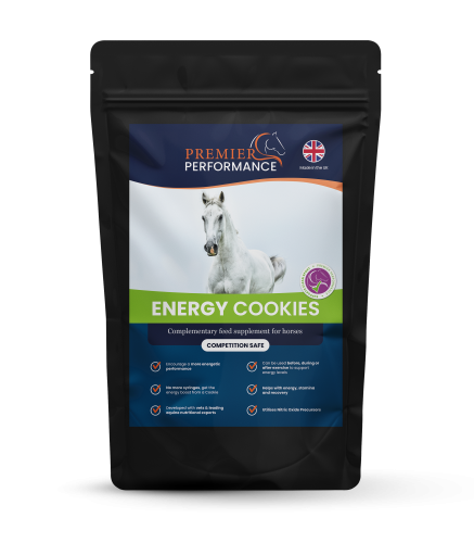 Energy Cookies: Trial Pack (3 Cookies)
