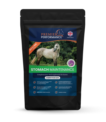 Stomach Maintenance: Palatability Sample