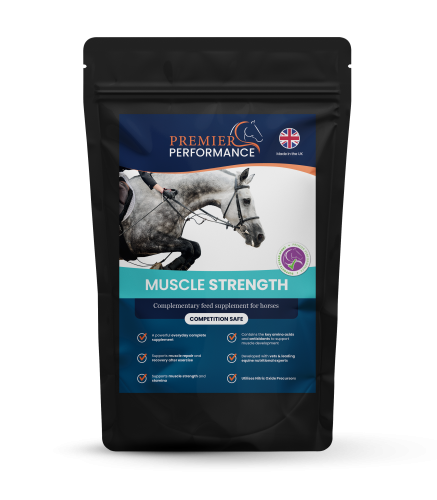 Muscle Strength: Palatability Sample