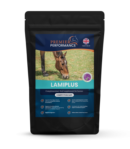 LamiPlus: Palatability Sample