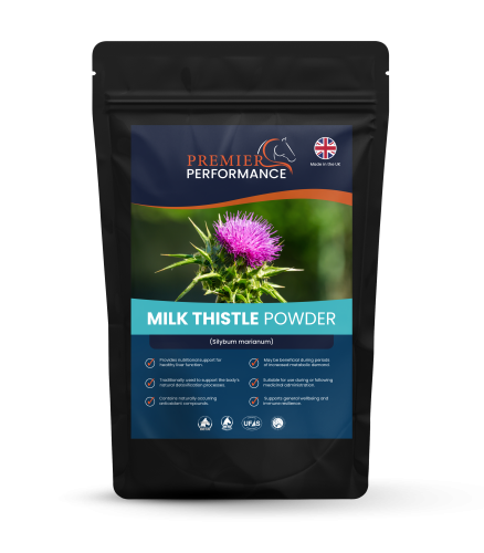 Milk Thistle Powder