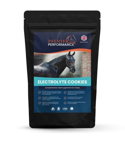 Electrolyte Cookies