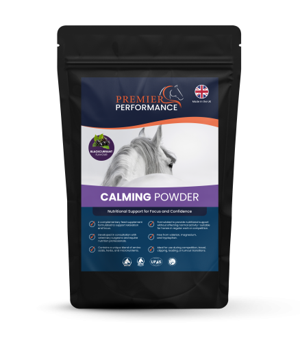 Calming Powder Blackcurrant
