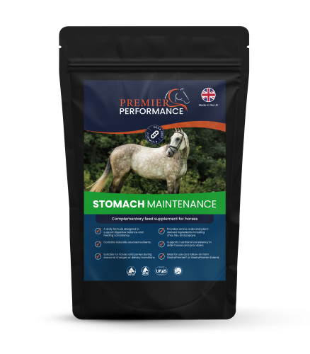 Stomach Maintenance