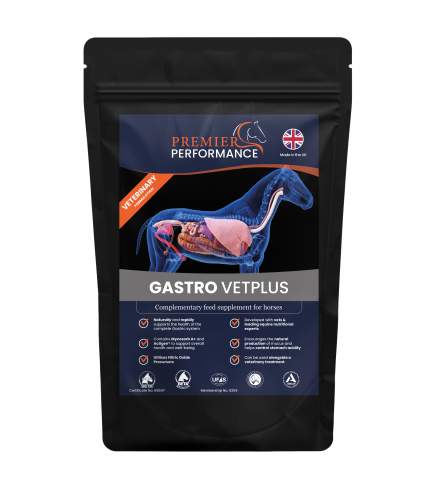 Gastro VetPlus